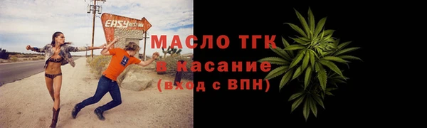 твердый Вяземский