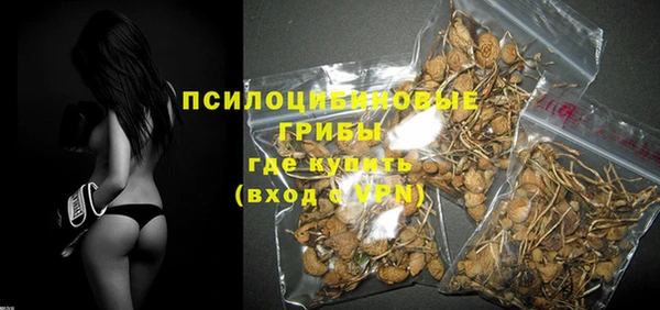 прущая мука Михайлов
